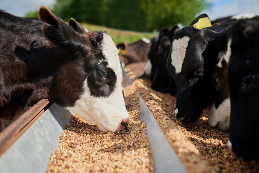 OMRI® Certified Enzymes for Animal Feeds